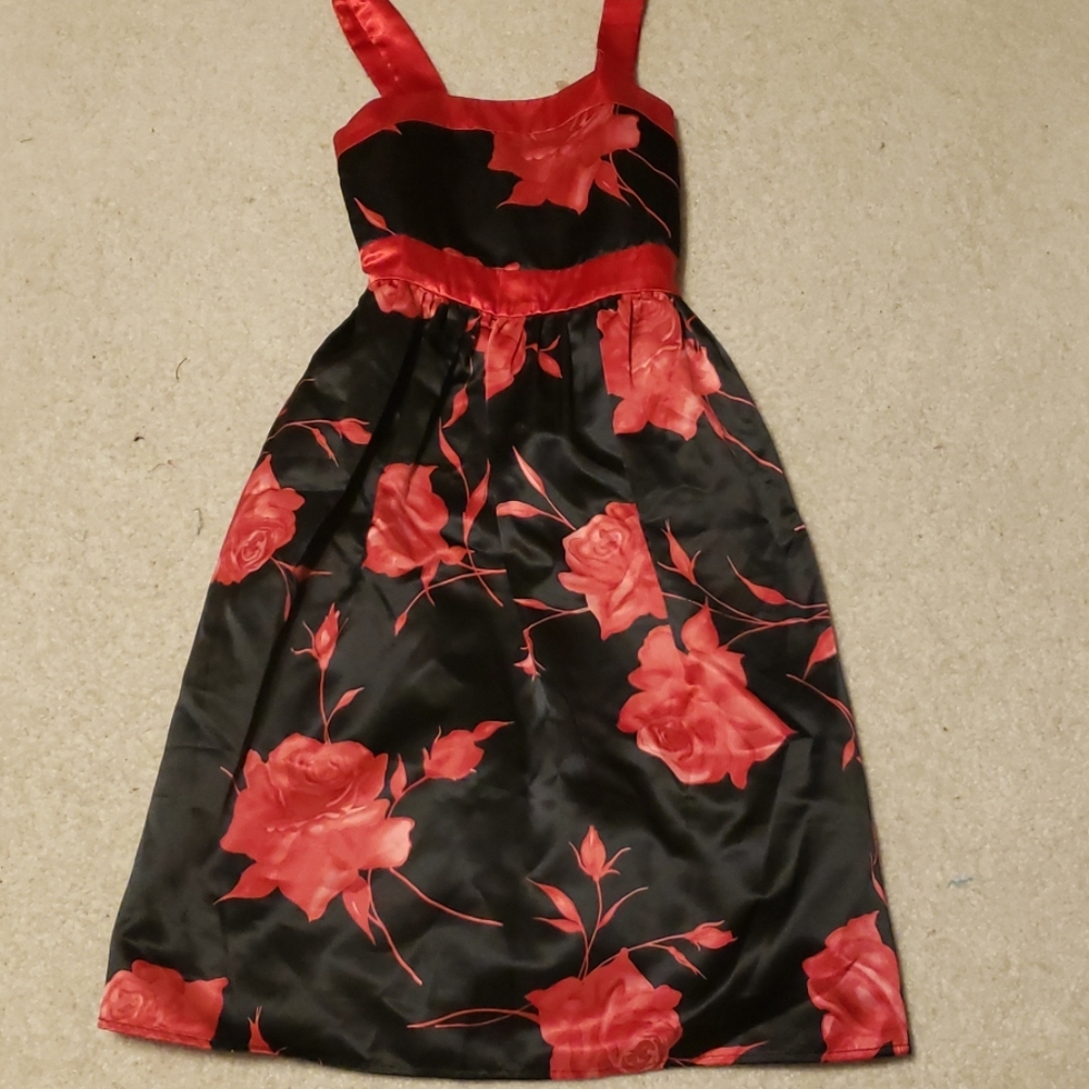 Girl's Red Roses Dress